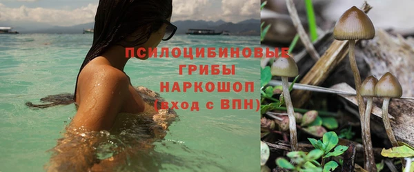 альфа пвп Нефтекумск