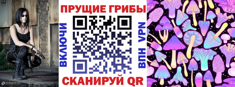 OMG сайт  Южноуральск  Галлюциногенные грибы Cubensis 